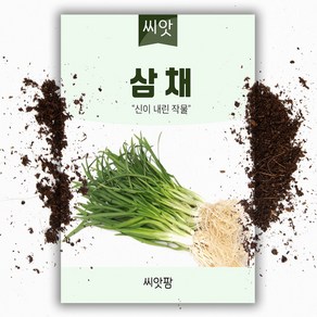 삼채씨앗 (100립), 1개