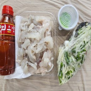 웰빙미래 광어회 광어450g 비빔야채 고추냉이 초장소 2~4인용 술안주 손님맞이용, 1세트, 450g