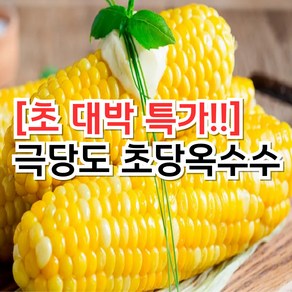 [초대박깜짝특가] 초당박사재배 고당도 초당옥수수, 5개, 중품