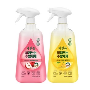 자연퐁 뿌려쓰는주방세제 750ml 2종 세트 (레몬 + 애플), 1개