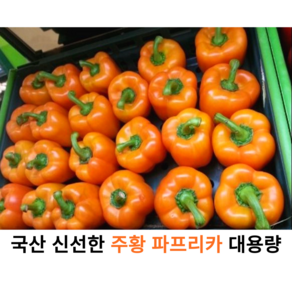 국내산 신선한 주황 파프리카 1kg 5kg 가정용 업소용 대용량 싱싱한 국산 파프리카 못난이 주황 피망, 1개