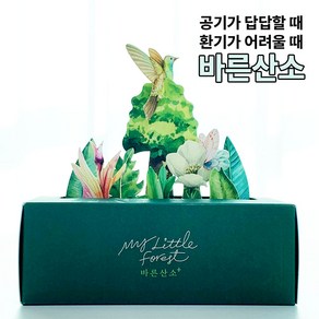 바른산소 60g 고체산소 산소발생기