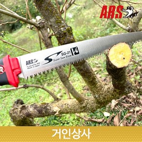 일제 아루스 과수 전지톱 SG-21/전정톱 나무톱 원예 가지치기 조경 원예용 정원 ARS, 1개