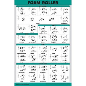 궁전 학습 폼 롤러 운동 포스터 롤러를 위한 스트레칭 및 루틴라미네이트 18인치 x 24인치, Laminated, 18