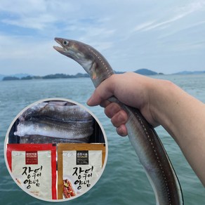 [통영직송] 통영 자연산 바다장어 손질장어 대짜 1 ~ 3미 + 소스 2종, 1개, 대 3kg(3~9미)