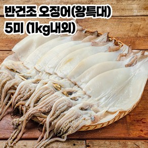 포항 구룡포 반건조 오징어 5미 왕특대(1kg 내외), 1개, 5미 (1kg내외)