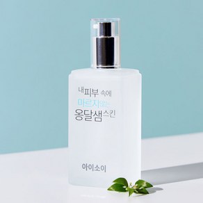 아이소이 내피부속에 마르지않는 옹달샘 촉촉스킨, 130ml, 1개