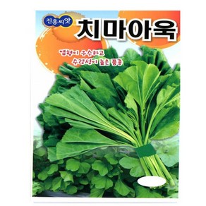 아욱씨앗 종자 20g 치마아욱 (아욱씨앗 종자 20g 치마아욱), 아욱씨앗 20g, 1개