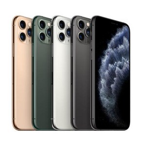 아이폰 11 프로맥스 iPhone 11 po max 공기계 자급제, 256GB, 골드