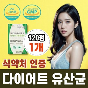 [BNR17유산균] 식약처 인증 다이어트 유산균 비에날씬 비에날17 diet pobiotics, 1개, 120회분