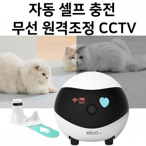 ebo se 무선로봇cctv 펫캠 강아지씨씨티비 홈캠 네트워크카메라 스마트폰cctv