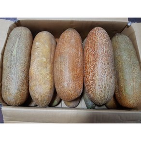 아삭아삭 (즙용)(무침용)오이 노각 4~6개 약5kg, 5kg, 1개