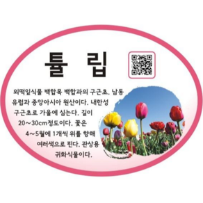 [맑은누리디자인] 꽃팻말-원형 걸이형 QR코드-001 (50개이상은 전화문의) 푯말 이름표 화단 표찰 수목 나무 꽃이름, A-원형-걸이형-QR코드