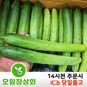 행 사< 오일장 상회 > 국내산 백오이 백다다기 다다기오이 특품 10개입 15개입 20개입