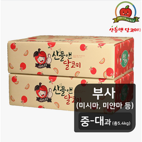 [TV상품] [중대과] 산들앤 달코미 세척사과 부사 개별포장 2BOX, 2개