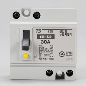 [J4236A+]태성 산업용 2P 30A TBE 32b 누전차단기 국산차단기, 본상품선택, 1개