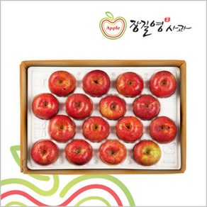 [선택 1] 장길영사과 사과 알뜰 특대과 5kg(10∼16과), 1개