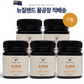 허니윌 마누카꿀 MGO525 UMF15+동일수치 뉴질랜드 프리미엄 마누카 허니, 5개, 250g