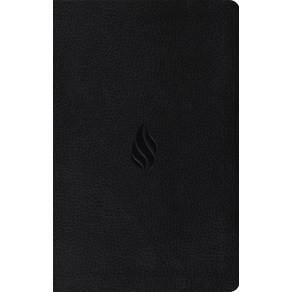 (영문도서) Premium Gift Bible-ESV-Flame Design Imitation Leather