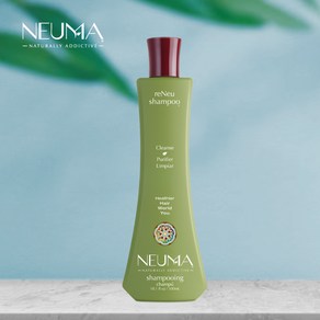 뉴마 리뉴 샴푸 NEUMA(네우마) eNeu Shampoo, 1개, 300ml