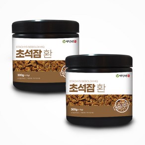 백장생 국내산 초석잠환 (골뱅이형), 300g, 1개