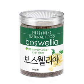 퓨어영 보스웰리아 500g 추출분말 보스웰리아환 실