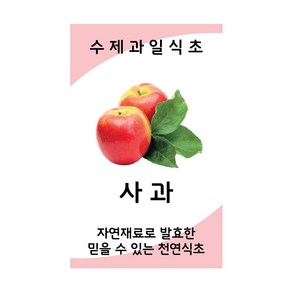 담은 사과 식초 스티커 애플식초스티커 수제식초 50장