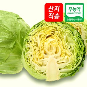 (자연마을) 국산 무농약 양배추 1kg 3kg, 무농약 양배추 1kg (1-2통), 1개