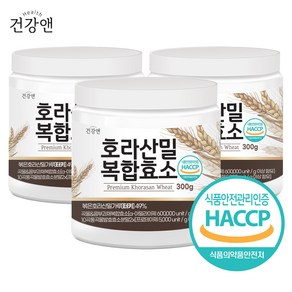 호라산밀 곡물효소 분말 가루 식약청인증 HACCP