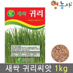 새싹 귀리씨앗 1kg, 1개