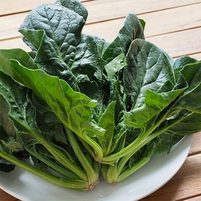 자연맛남 [자연맛남] 농협선별 신선한 시금치 1kg, 1개