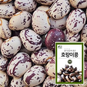 마이플랜트 호랑이콩 30g 채소 씨앗 베란다 텃밭 가꾸기, 1개