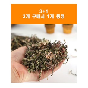 에밀리펫 자연담은 민들레 4개 1개 덤 증정 토끼간식 토끼먹이