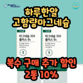 약국 비타민하우스 마그네슘 마그비 스피드 마그콤 감마 액티브 맥스 B6, 2개, 90정