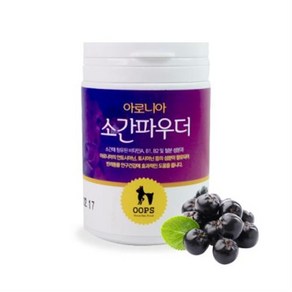 웁스 아로니아 소간파우더 100g 강아지 눈물개선, 1개