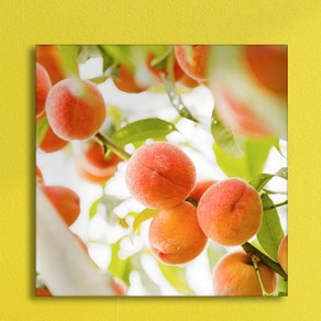 c814-아크릴액자_주렁주렁복숭아(중형)
