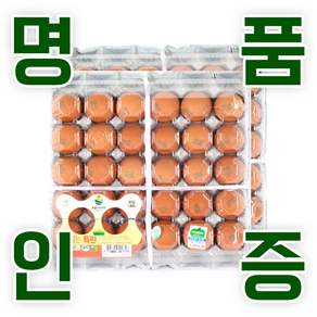 KB farm 계란 명품인증 무항생제 달걀 특란 60구