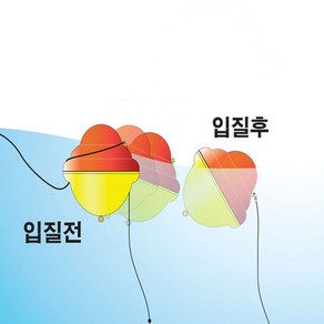 피싱인사이드 카멜레온 리베로 구멍찌 케미장착가능 찌 신개념 물면 뒤집힌다 어신찌 낚시/바다찌/바다낚시, 대_B, 1개