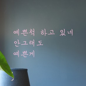 모노먼트 손글씨 감성 레터링 스티커 - 예쁜척 하고 있네 안그래도 예쁜게, S, 연핑크