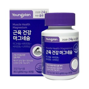 영진약품 영플랜 근육 건강 마그네슘 950mg 유통기한 임박분, 90정, 1개