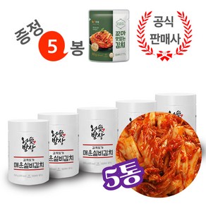 (맛김치 5봉 증정) 한울 맛있게 매운 실비 김치, 2개, 500g