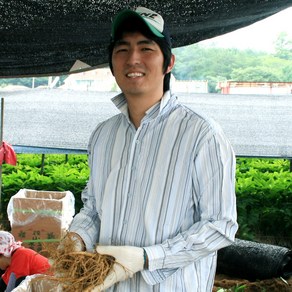 금산인삼 수삼 세척 5년근6년근 선물세트 난발삼 파삼 대명이네인삼, 1개