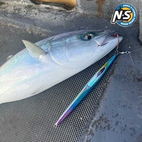 NS 보카 롱 메탈지그 쇼어지깅 슬로우지그 260g, 309 GIZZARD SHAD, 1개