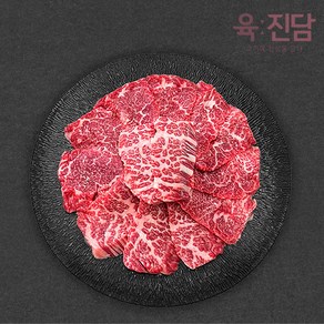 [당일발송] 육진담 1등급 한우 살치살(냉장), 1개, 200g