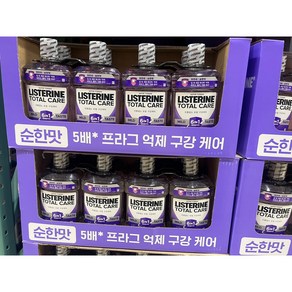 리스테린 토탈케어 플러스 구강청결제, 2개, 1.5L