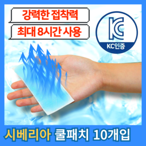 르틸리테 이마 아이스패치 쿨패치 냉각시트 쿨링패치, 1개