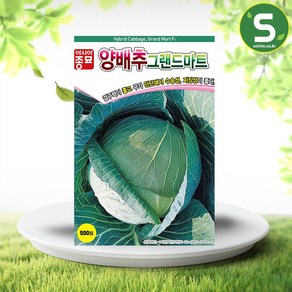 솔림텃밭몰 양배추씨앗 500립 그랜드마트 중조생 내병성 배추씨앗