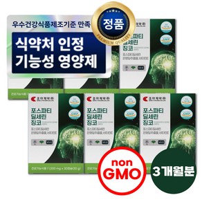 포스파티딜세린 PS 식약처인증 nonGMO 뇌영양제 징코, 6개, 30정