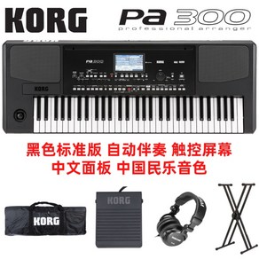 전자피아노 교습용 전문가용 디지털피아노 맑은소리, KORG PA300, 1개