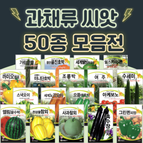 호박 단호박 수박 오이 씨앗 종자 50종 수세미 방울 토마토 파프리카 씨앗 여주 종자, 34. 으뜸애호박 30립, 1개